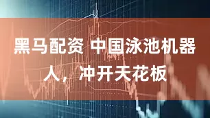 黑马配资 中国泳池机器人，冲开天花板