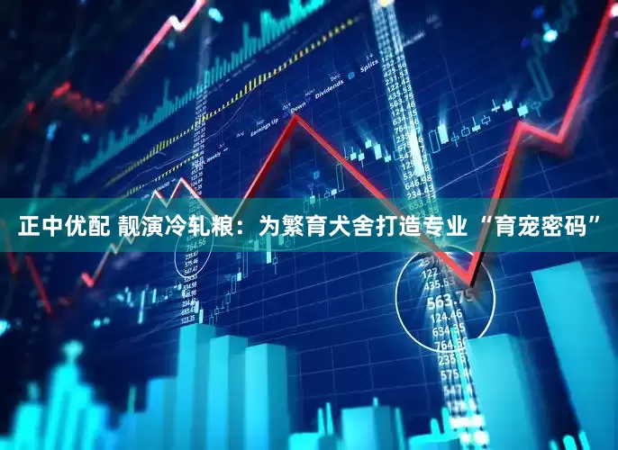 正中优配 靓演冷轧粮：为繁育犬舍打造专业 “育宠密码”